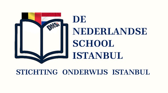 DNSI logo